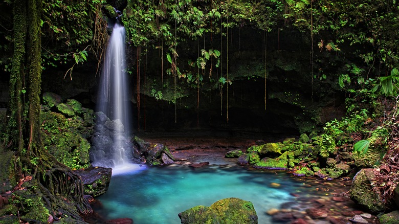 La piscine d'émeraude dans le parc national du Morne Trois Pitons à la Dominique