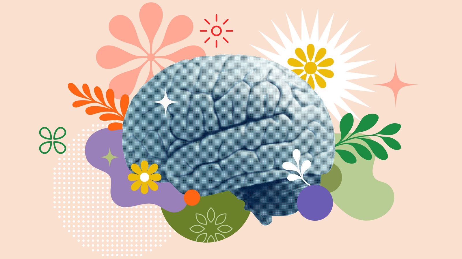 Les rêves font bien plus que divertir votre cerveau endormi