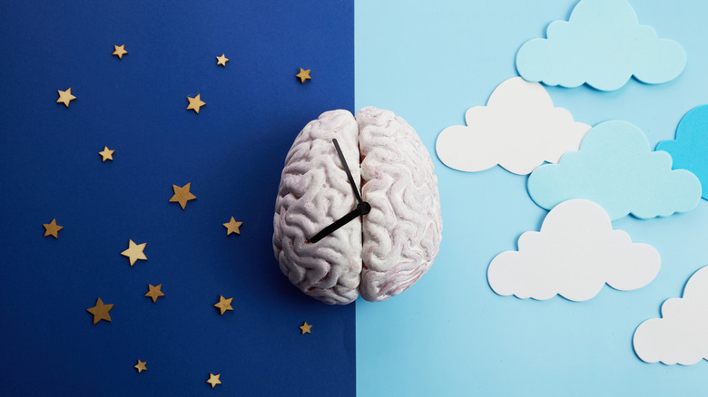 Un cerveau jouet sur lequel reposent les bras d'une horloge, sur un fond à moitié bleu clair avec des nuages ​​en papier et à moitié bleu foncé avec des étoiles en papier.