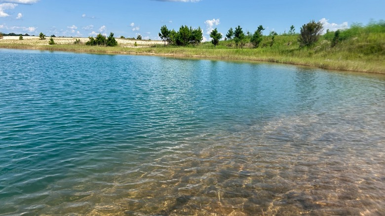 Le côté calme du lac Isabel sur la ferme du lac Isabel à Bogalusa, en Louisiane.