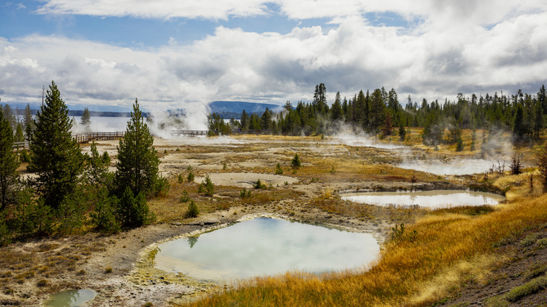 Sentier West Thumb Geyser Basin comprenant des sources chaudes, des piscines thermales et des geysers, dans le parc national de Yellowstone.