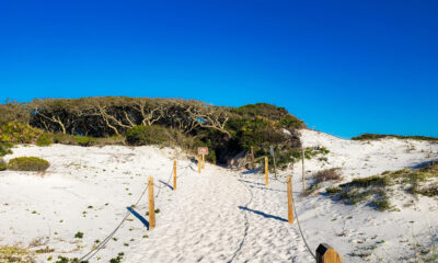 Ce captivant parc d'État de plage en Floride offre une vue panoramique sur la côte du golfe