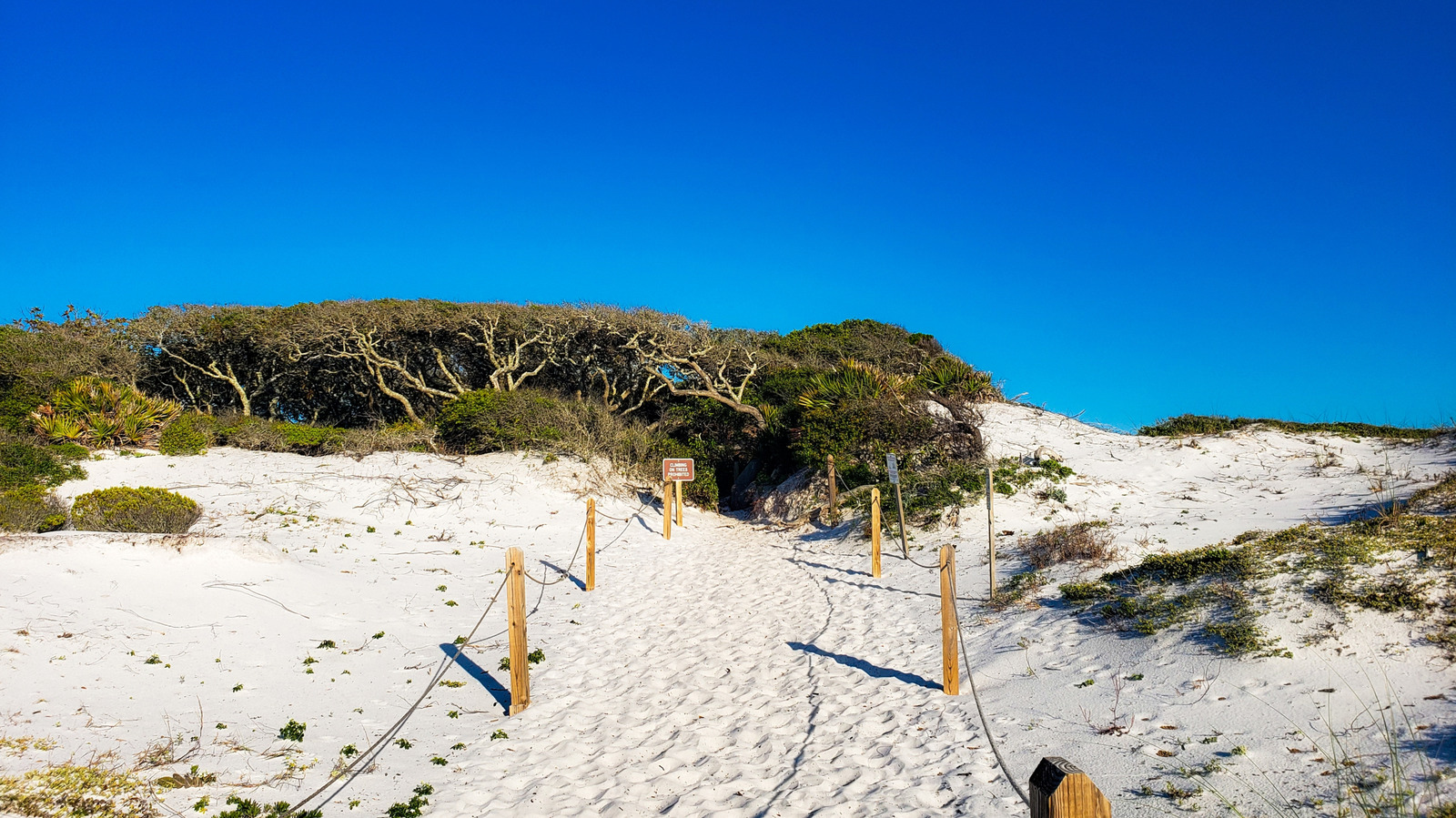 Ce captivant parc d'État de plage en Floride offre une vue panoramique sur la côte du golfe