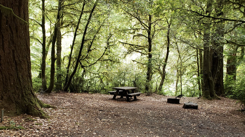 Emplacement de camping dispersé sur Elk River Road