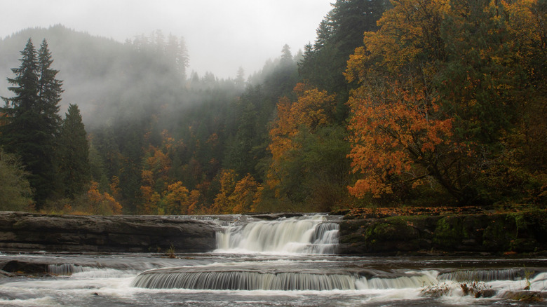 Chutes de la rivière Smith