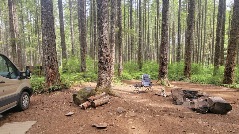 camping dispersé au mont Hebo