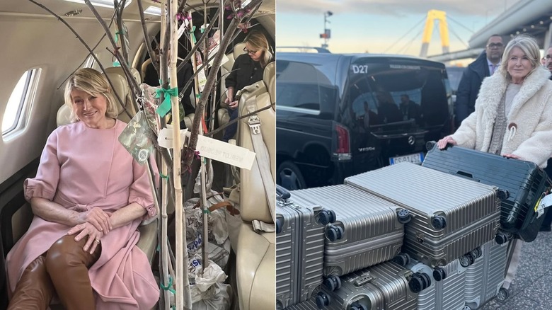 Martha Stewart volant dans un avion privé et Martha Stewart poussant plusieurs valises