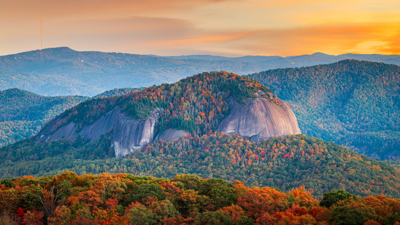 Feuillage d'automne entourant Looking Glass Rock dans la forêt nationale de Pisgah