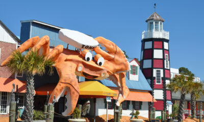 Chaque année, les touristes affluent vers les Carolines pour se livrer à ce délicieux type de fruits de mer