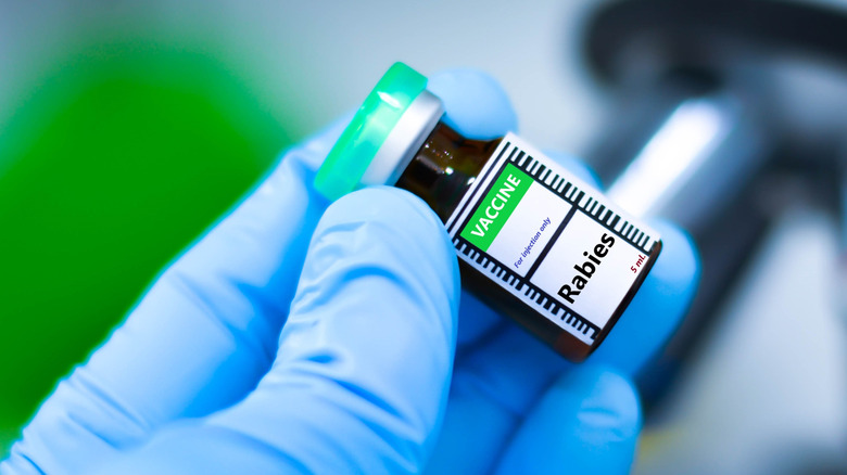 main gantée tenant un flacon de vaccin contre la rage