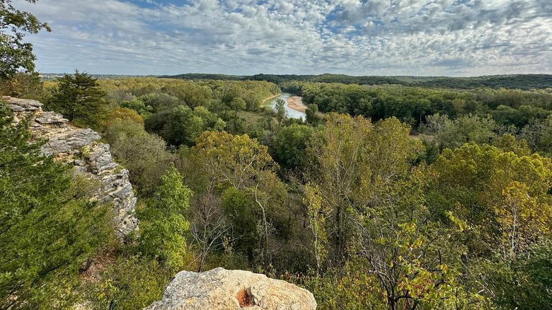 Une vue sur une rivière et des arbres au-dessus d'une falaise