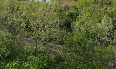 Un parc d'État luxuriant du Missouri possède un magnifique feuillage et des sentiers de randonnée avec vue sur la rivière