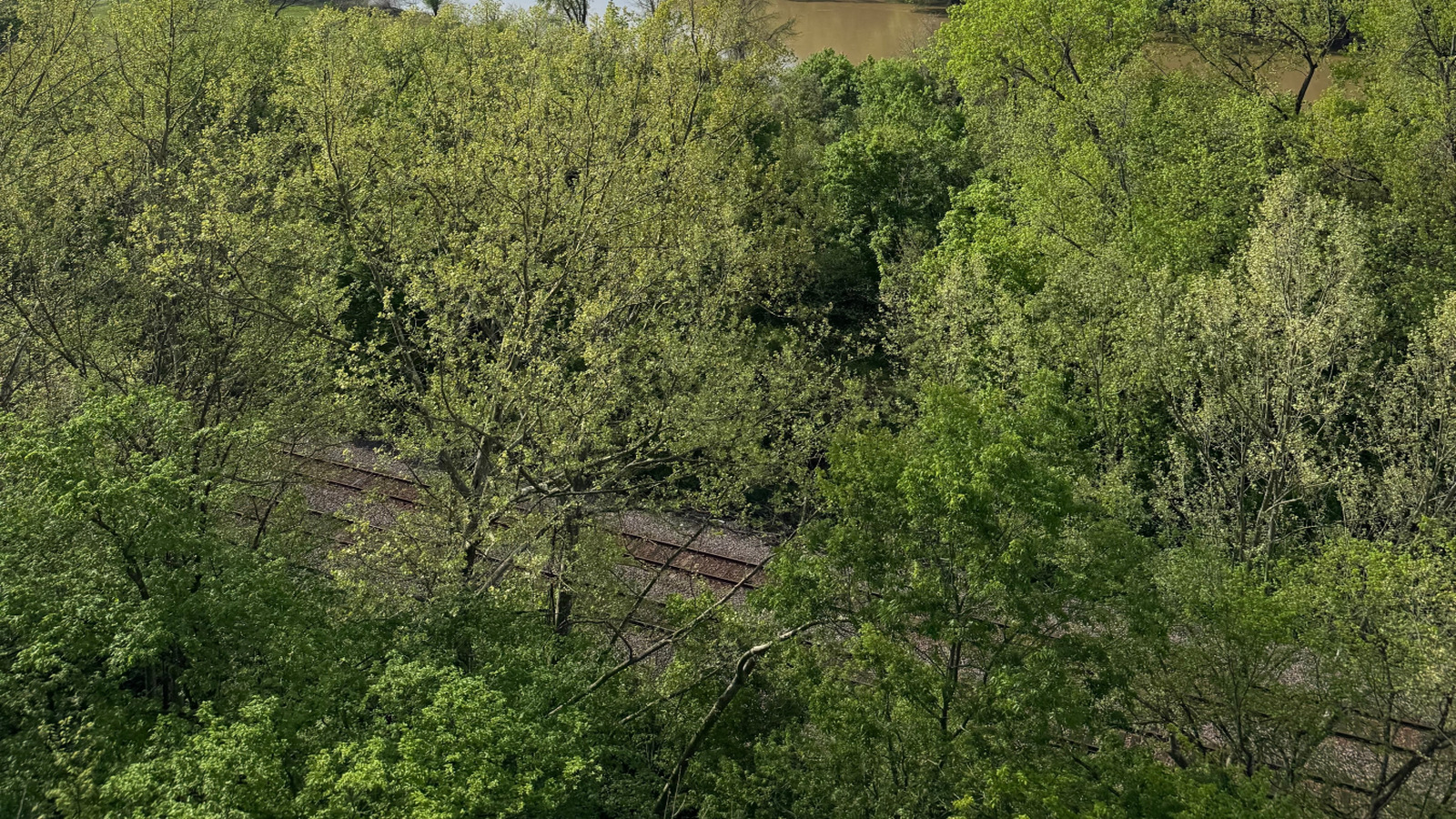 Un parc d'État luxuriant du Missouri possède un magnifique feuillage et des sentiers de randonnée avec vue sur la rivière