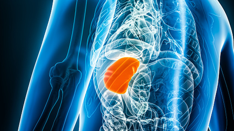 Rate mise en évidence dans le corps humain