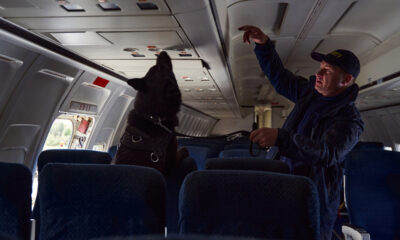 Qu'arrive-t-il aux passagers d'un vol lors d'alertes à la sécurité des avions ?