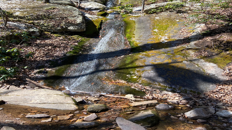 Cascade de succion bleue, parc d'état de Douthat, VA