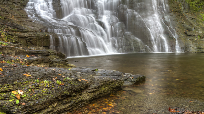 Les feuilles d’automne bordent la piscine au pied des chutes Frontenac
