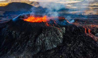 Les minuscules scientifiques mammifères tombés sur un volcan ont surpris tout le monde