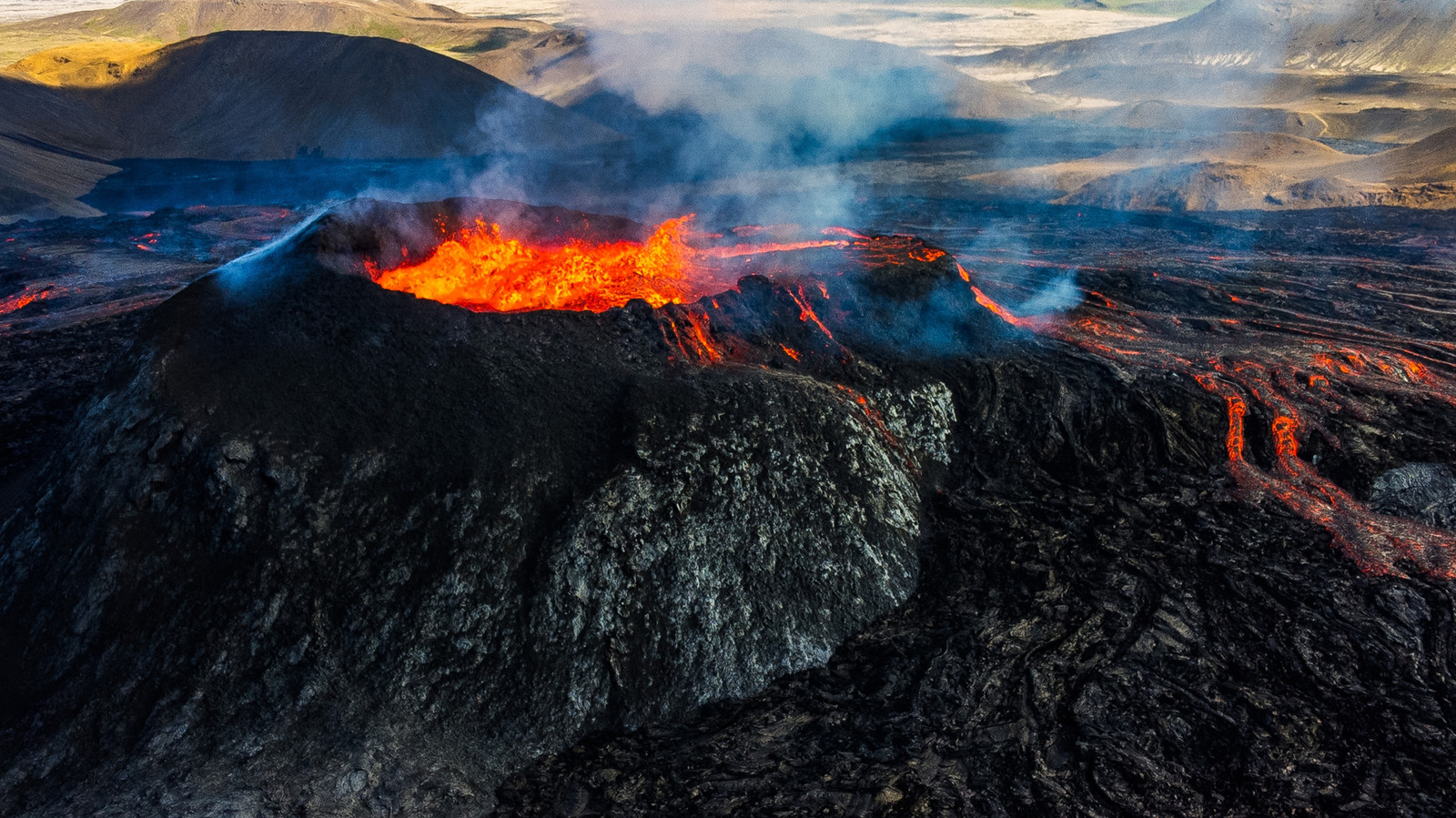 Les minuscules scientifiques mammifères tombés sur un volcan ont surpris tout le monde