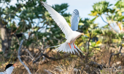 La réserve faunique cachée du Connecticut regorge de sites historiques et de divertissements en plein air