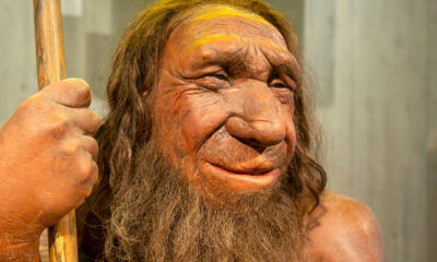 Votre ADN néandertalien est plus compliqué que vous ne le pensiez au départ