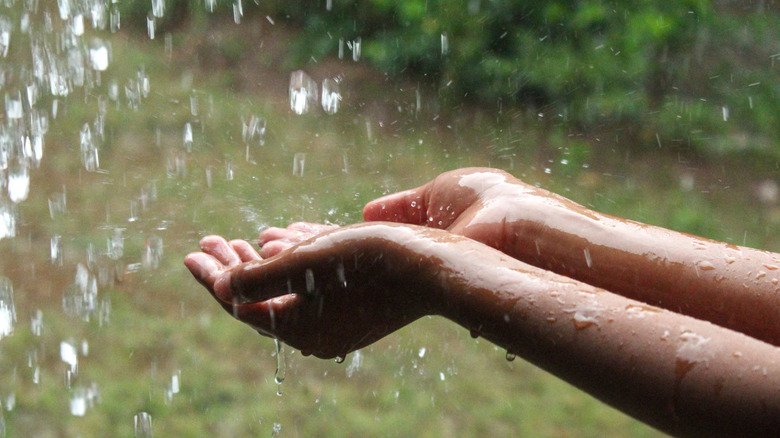 mains récupérant l’eau de pluie
