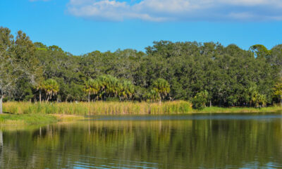 Le parc d'État caché de Floride offre des vues scintillantes sur le lac, du camping, des sentiers et de la faune