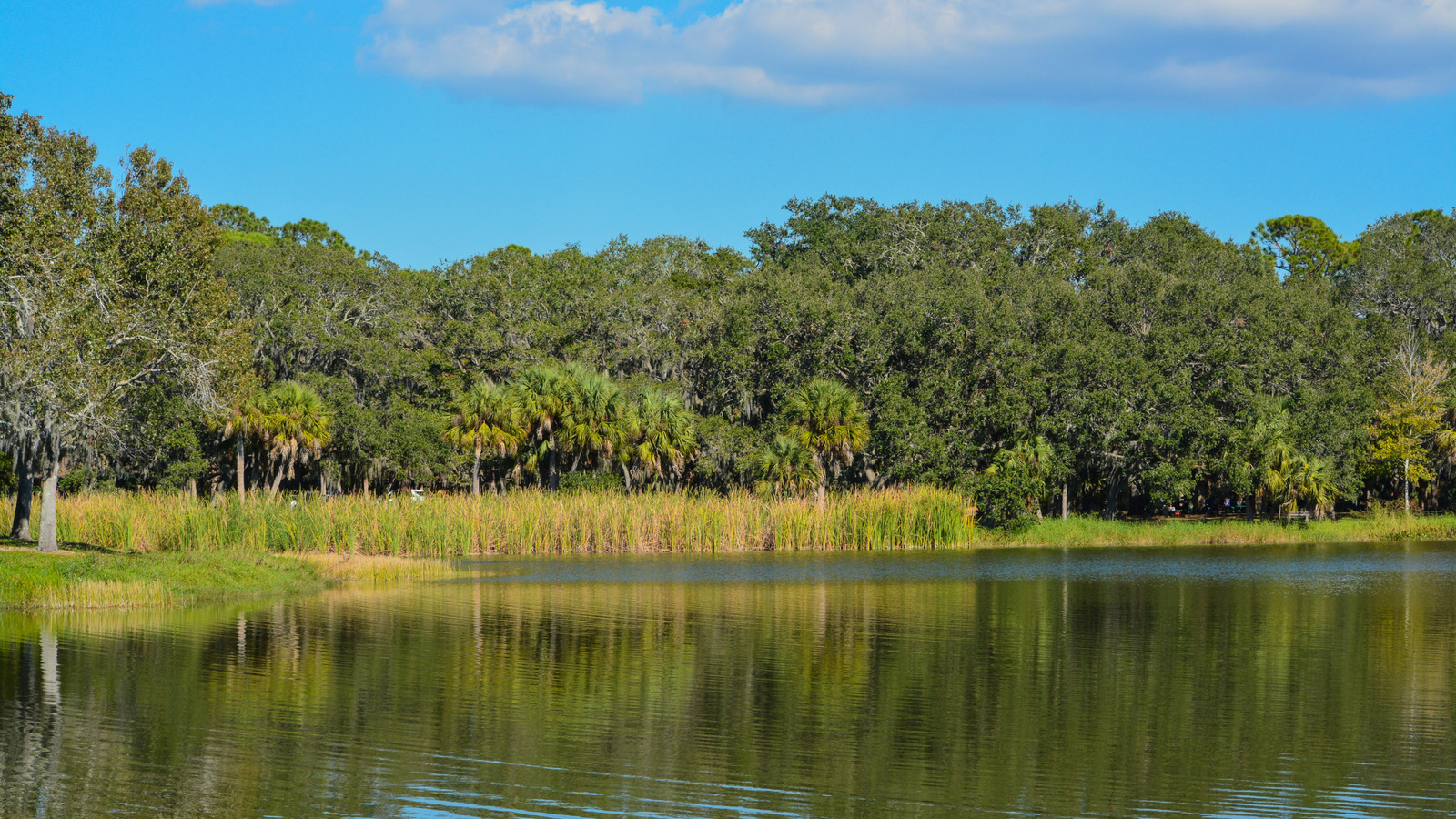 Le parc d'État caché de Floride offre des vues scintillantes sur le lac, du camping, des sentiers et de la faune