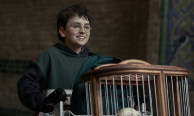 Les fans de Harry Potter ont tous la même plainte concernant la bande-annonce de la série télévisée HBO