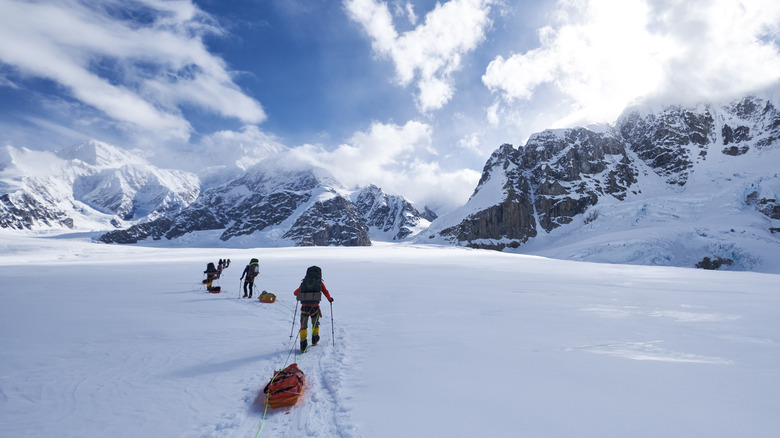 grimpeurs sur le mont Denali