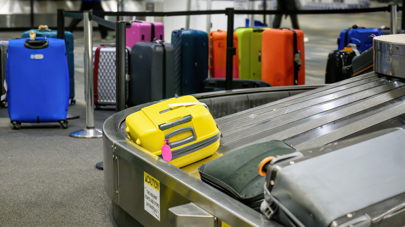 5 ensembles de bagages que vous pouvez acheter chez Home Depot pour moins de 200 $