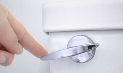 La science se penche sur le mythe des toilettes que vous avez toujours pensé être vrai