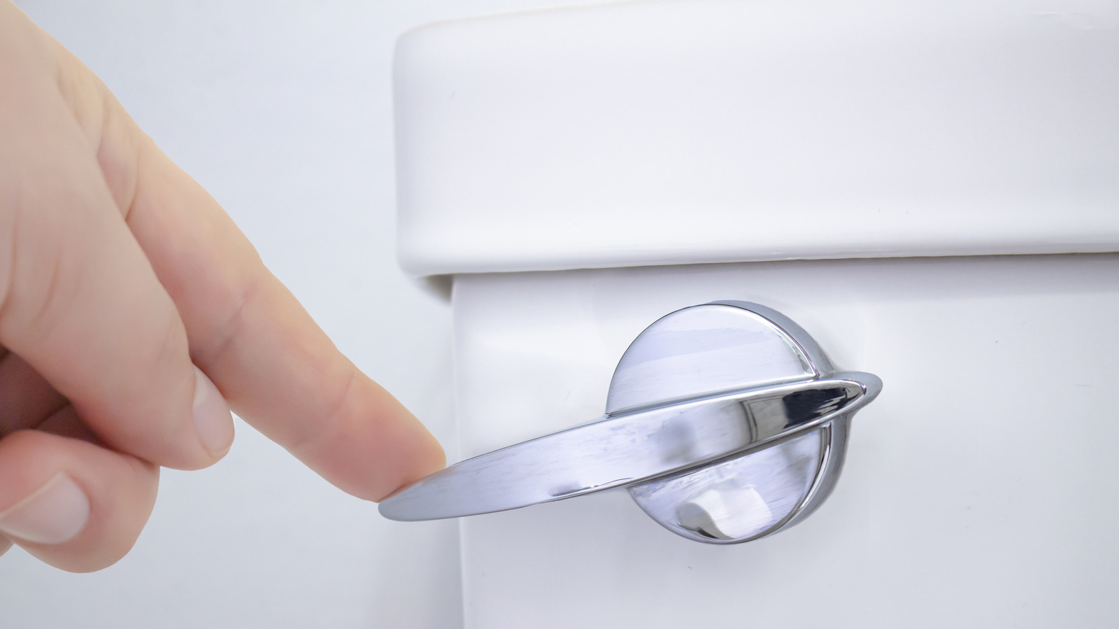 La science se penche sur le mythe des toilettes que vous avez toujours pensé être vrai