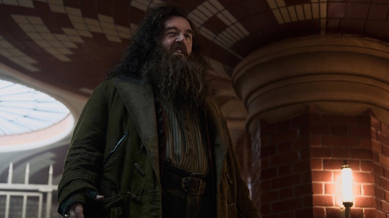 Nick Frost dans le rôle de Rubeus Hagrid debout dans la série télévisée Harry Potter