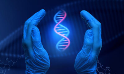 Une espèce géante pourrait détenir le secret de la prolongation de la durée de vie humaine