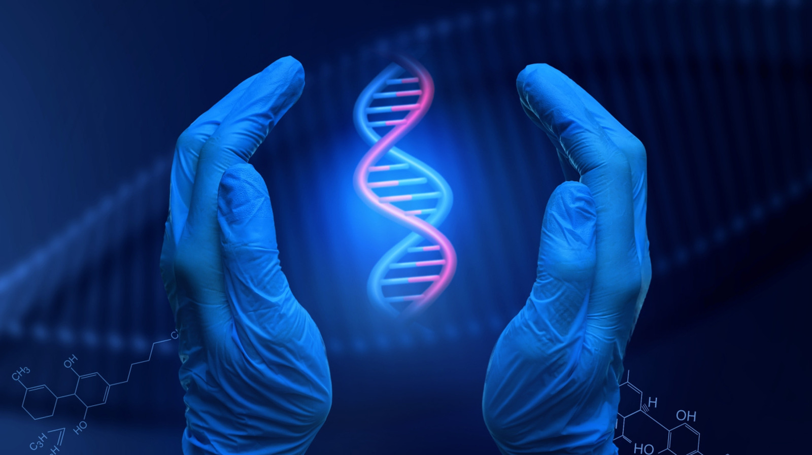Une espèce géante pourrait détenir le secret de la prolongation de la durée de vie humaine