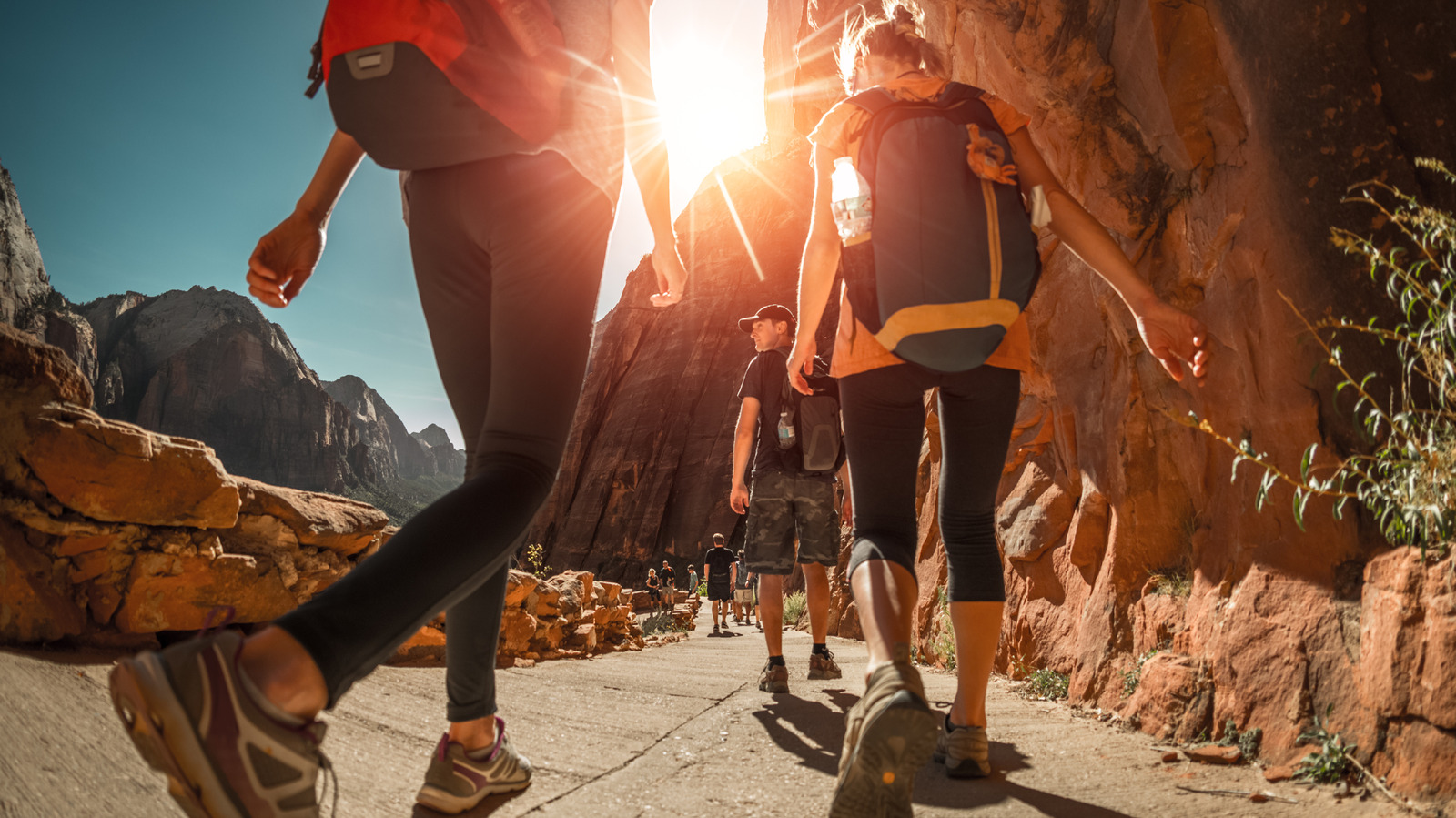 Vous envisagez de visiter les parcs nationaux des États-Unis ? Téléchargez cette application utile avant votre voyage