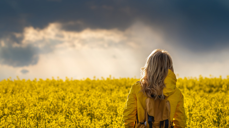 randonneur regardant la tempête se rapprocher