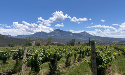 Ce sentier panoramique propose des dégustations de vins dans les contreforts des montagnes West Elks du Colorado