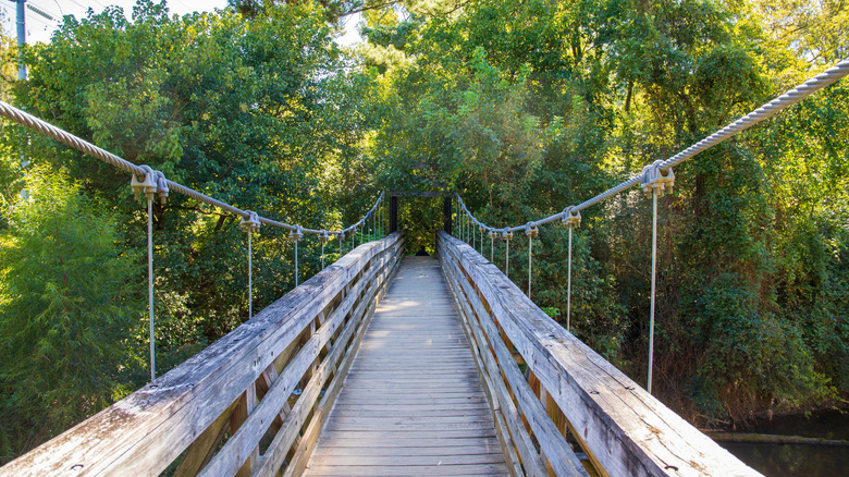 un pont suspendu en bois mène à la forêt sur le sentier naturel Morningside