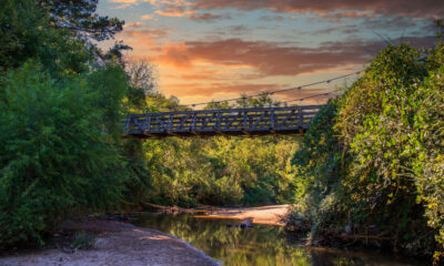 La réserve naturelle luxuriante d'Atlanta offre une évasion paisible avec une randonnée facile au bord d'un ruisseau tranquille