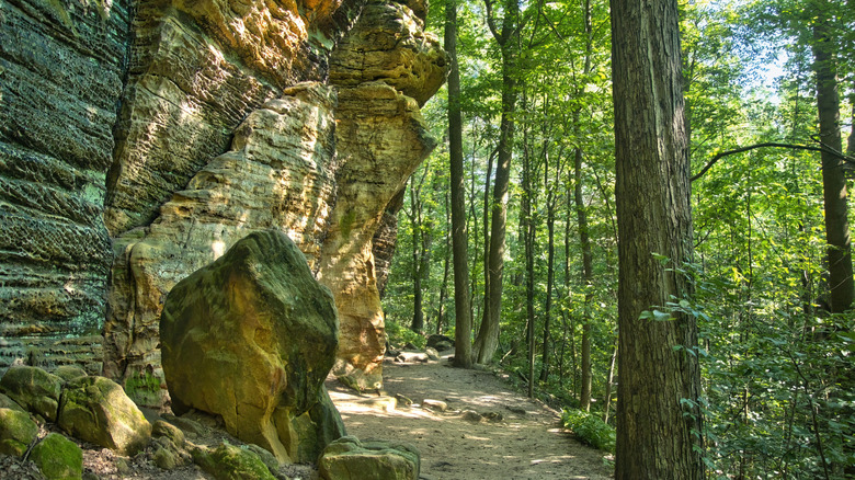 Photo d'une journée d'été d'un sentier de randonnée passant par des falaises de grès dans le parc national de Cuyahoga Valley.