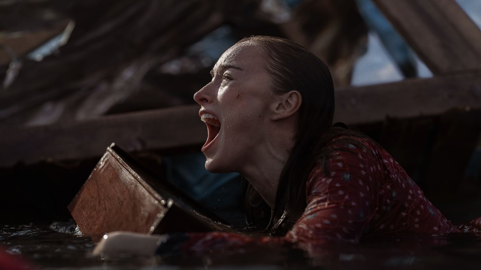 Thrash Review : le nouveau film sur le désastre des requins de Netflix est exactement ce que vous voulez qu'il soit