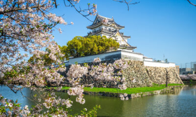 Qu'est-ce que la campagne touristique Japon-États-Unis 2026 et qu'est-ce qu'elle signifie pour les voyageurs ?