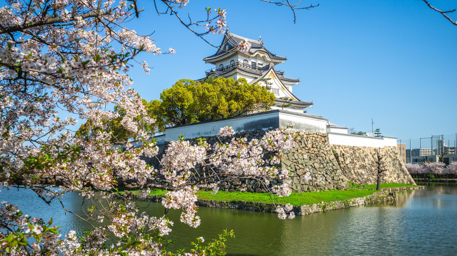 Qu'est-ce que la campagne touristique Japon-États-Unis 2026 et qu'est-ce qu'elle signifie pour les voyageurs ?