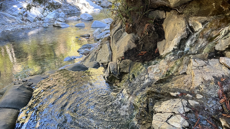 Sources chaudes au bord d'une crique à Sykes Hot Springs