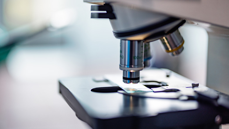 Vue rapprochée des lentilles du microscope