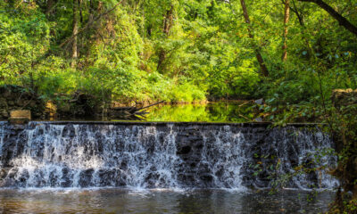 Nichée dans la banlieue d'Atlanta se trouve une réserve naturelle avec des randonnées pittoresques en cascade