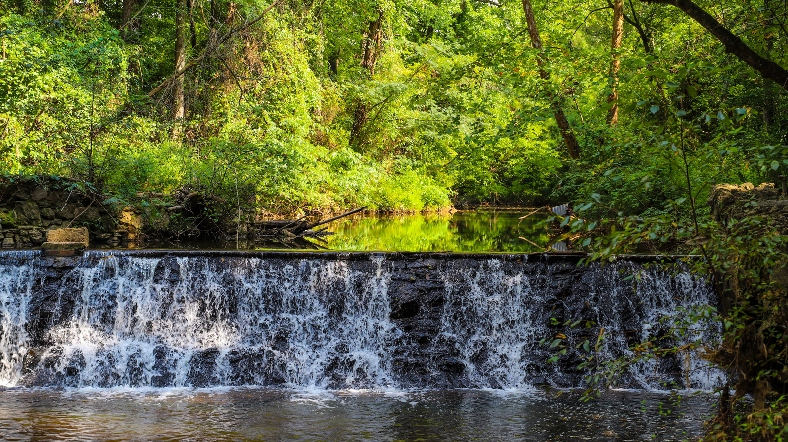 Nichée dans la banlieue d'Atlanta se trouve une réserve naturelle avec des randonnées pittoresques en cascade