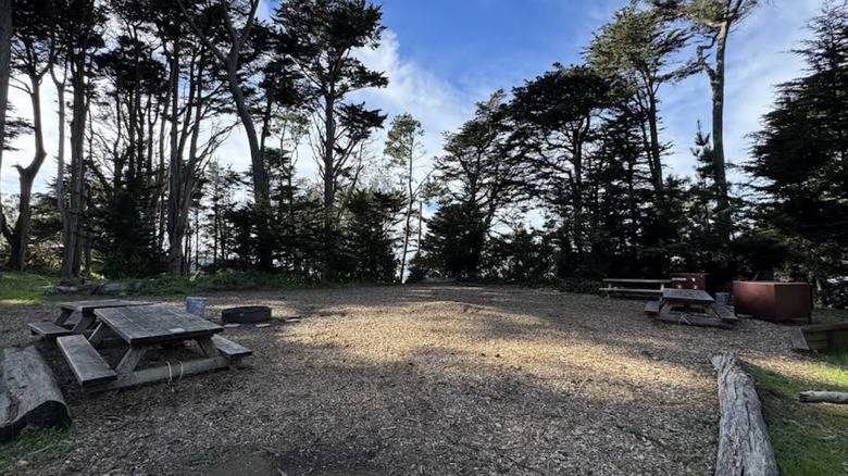 camping spacieux au terrain de camping Rob Hill